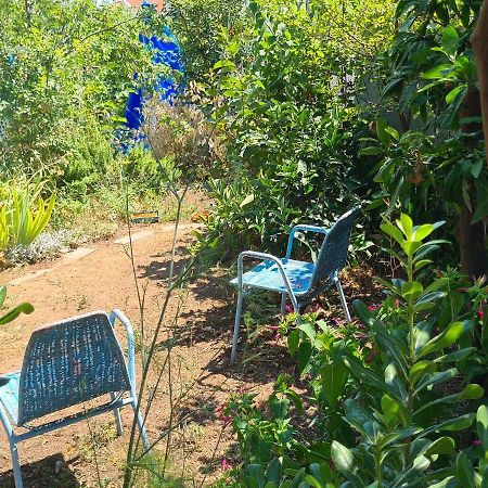 Studio Apartment Garden Dubrovnik Luaran gambar