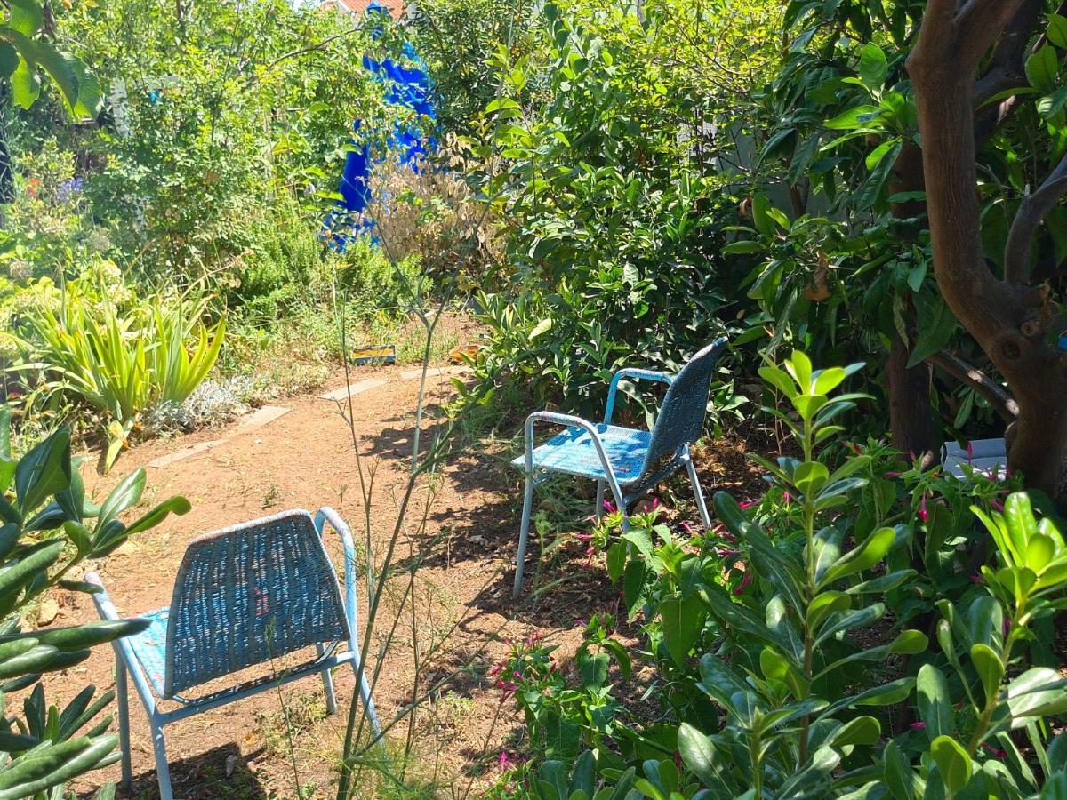 Studio Apartment Garden Dubrovnik Luaran gambar
